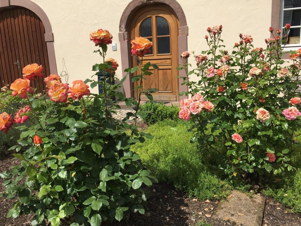 Ferienwohnung In Historischem Bauernhaus In Der Eifel Mettendorf Екстер'єр фото